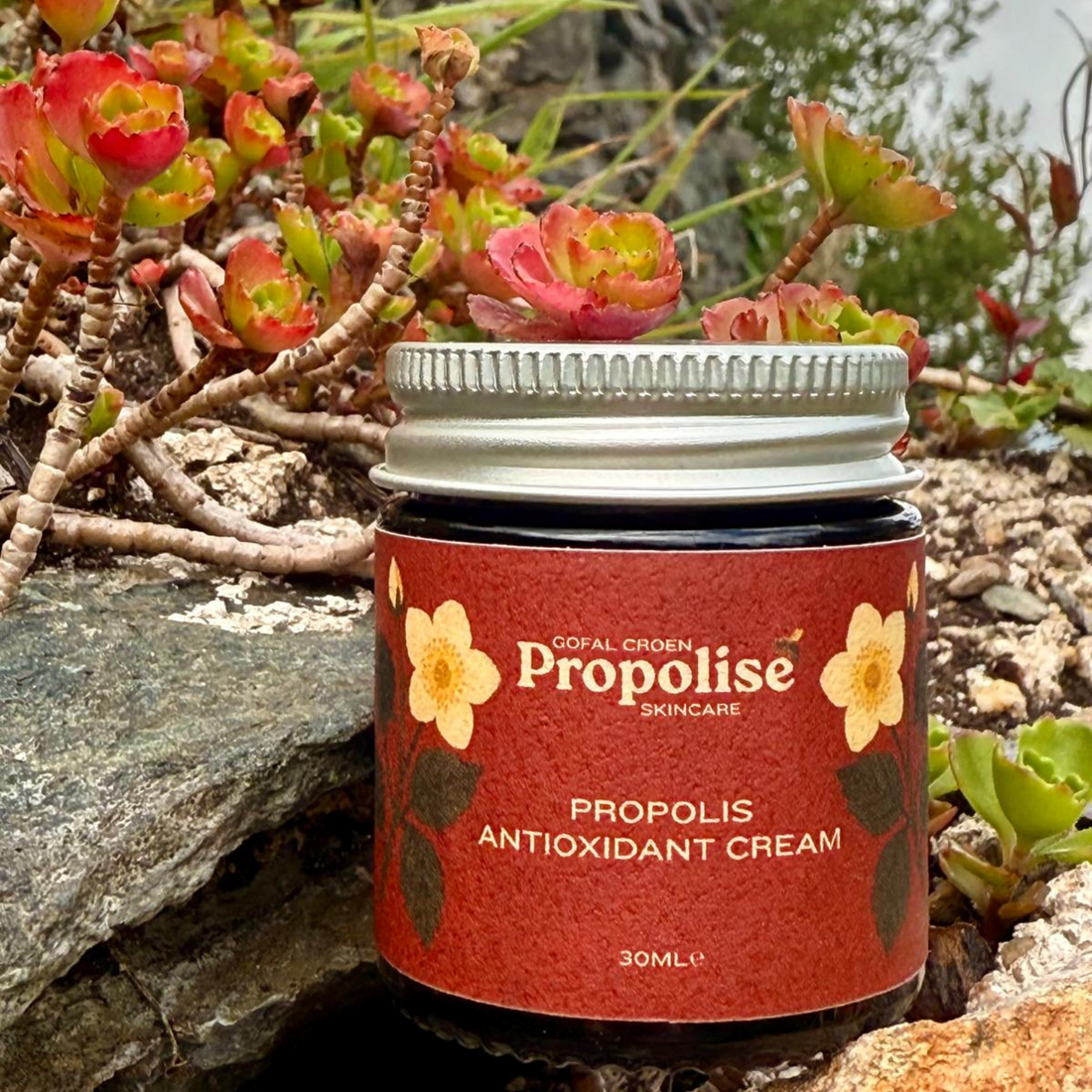 Propolis Antioxidant Cream - Hufen Propolis Antiocsidant