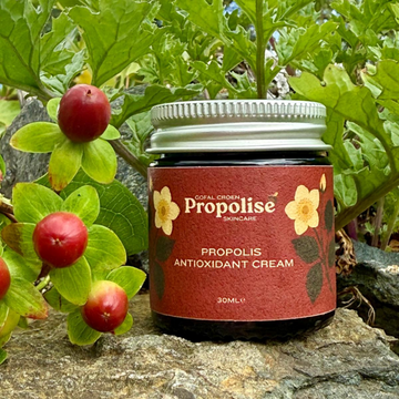 Propolis Antioxidant Cream - Hufen Propolis Antiocsidant