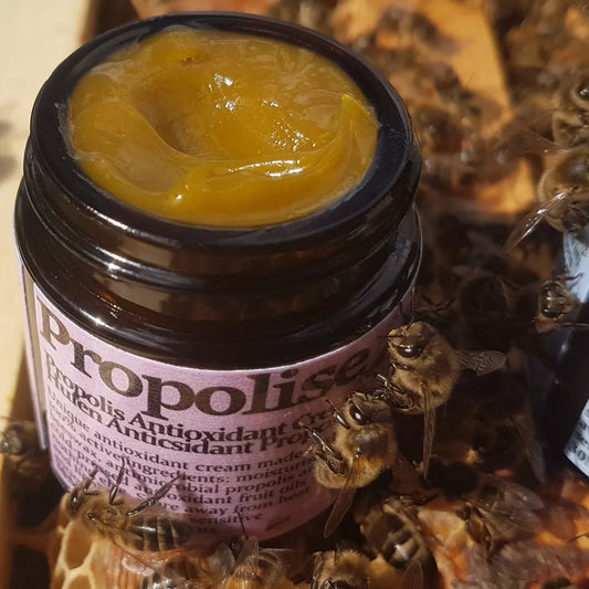 Propolis Antioxidant Cream - Hufen Propolis Antiocsidant